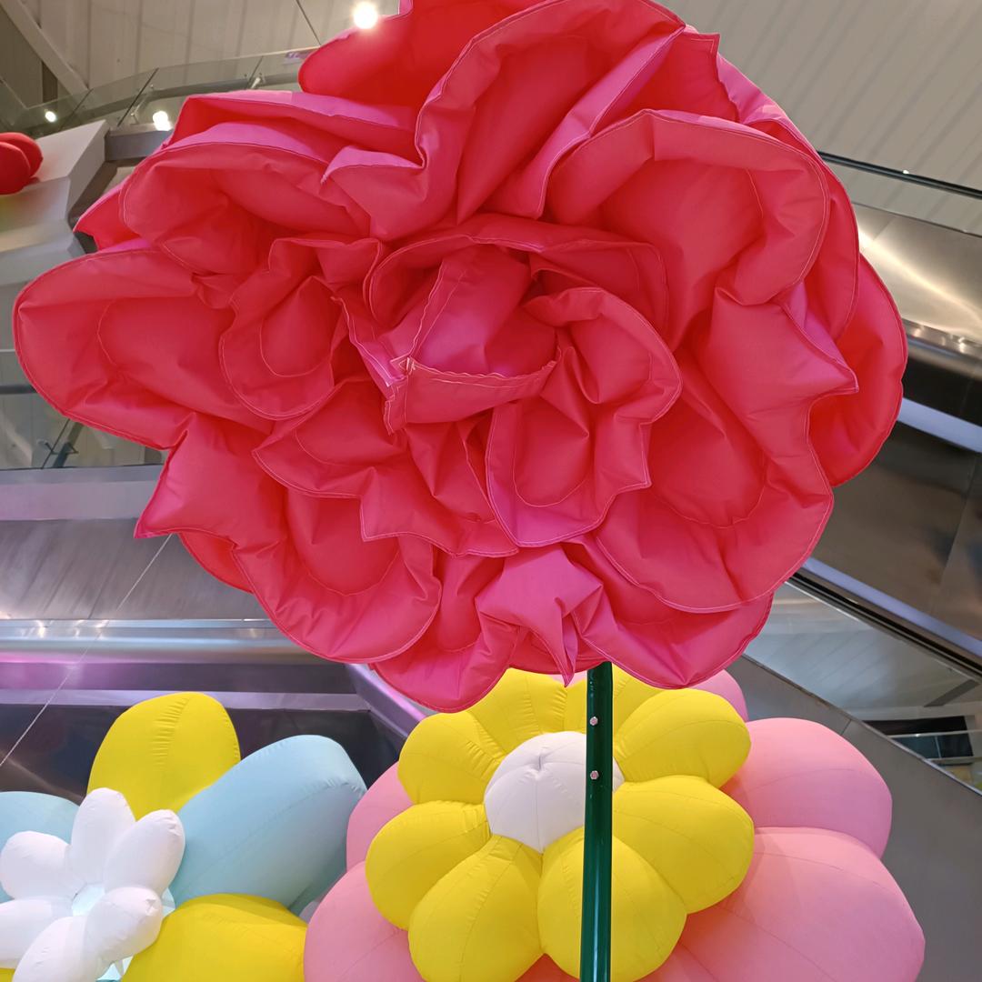 十个孙子的奶奶