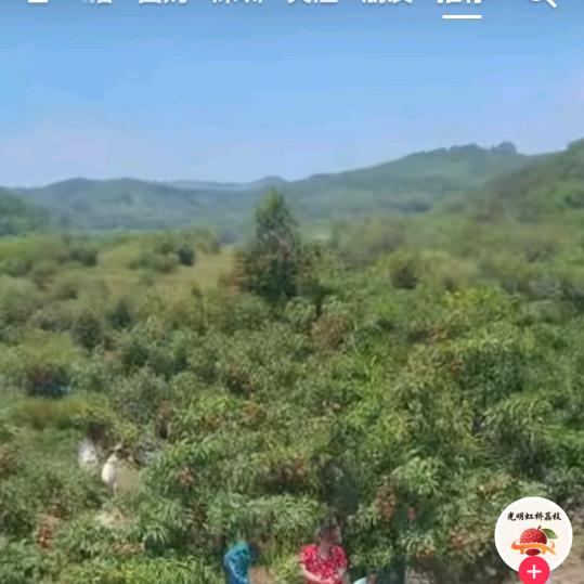 相顾无言。唯有泪千行