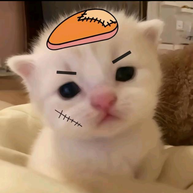 陈晓慧是一只猪