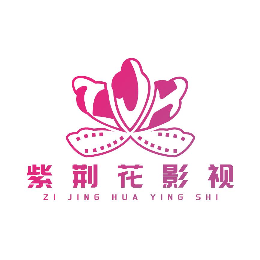 紫荆花影视