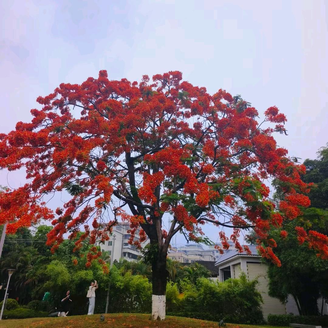 欠费停机