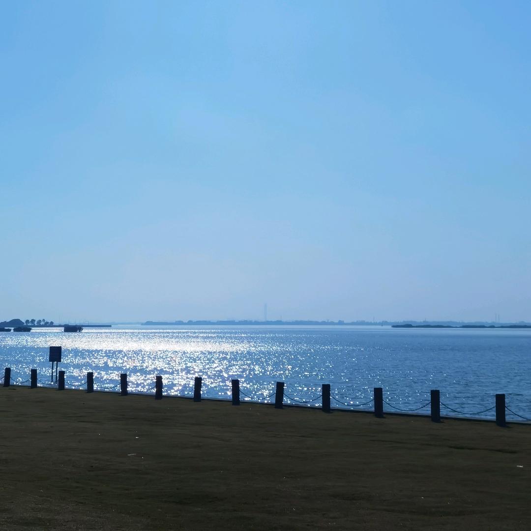 （胃）来可旗