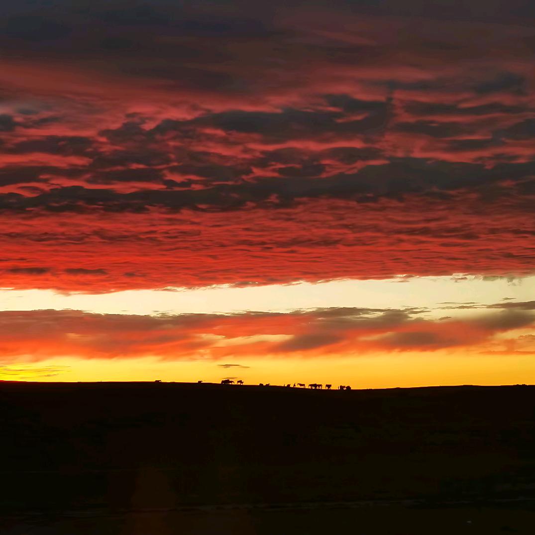 全世界无产者，联合起来。