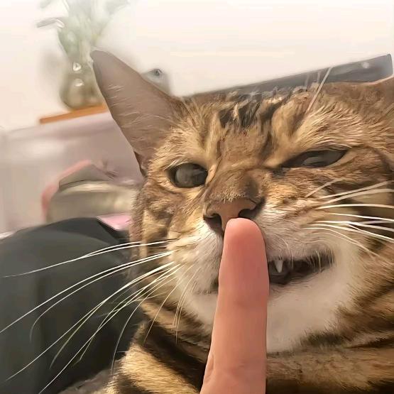 借钱拉黑
