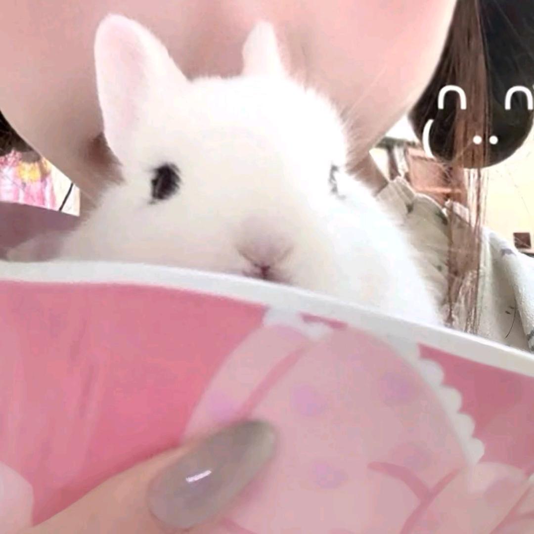 纟绪.