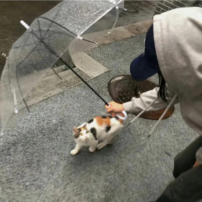 不要碰捣霉熊.