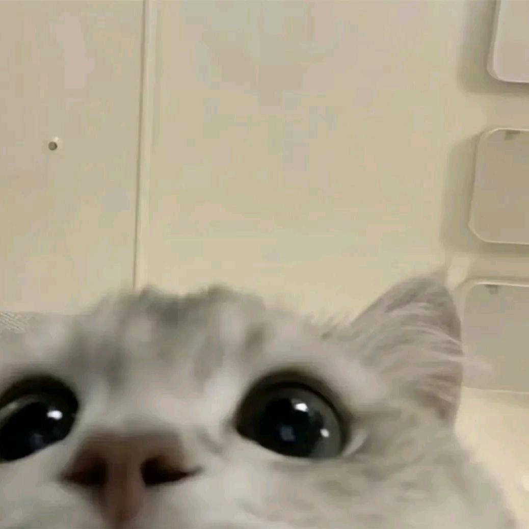 - ̗̀ ☺︎ ̖́-