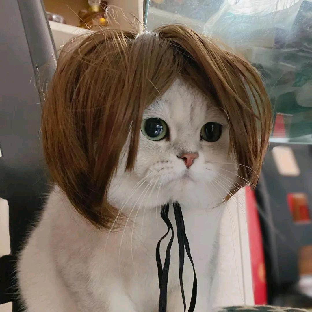 安然小哥哥