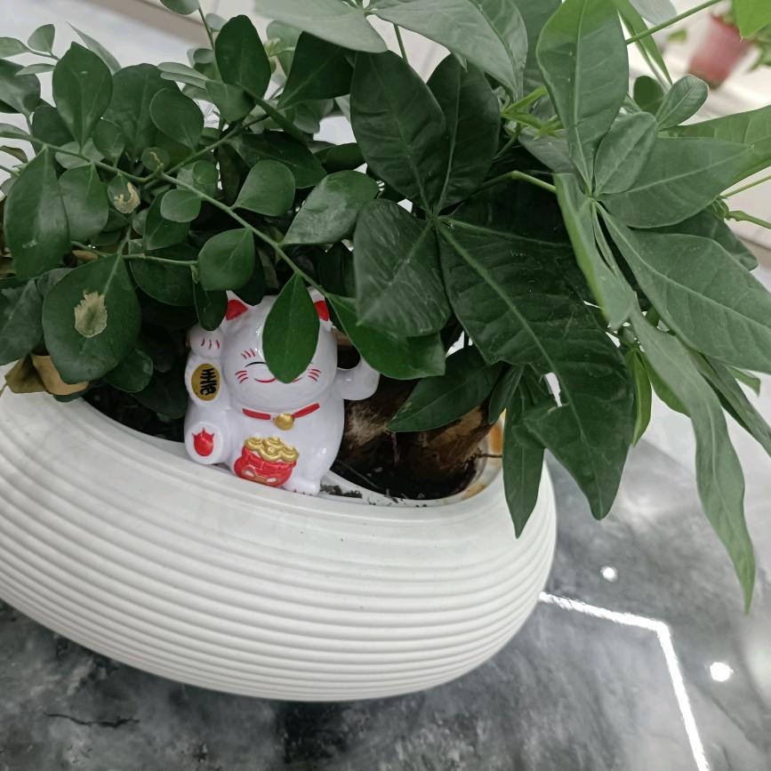 大好河山统一祖国