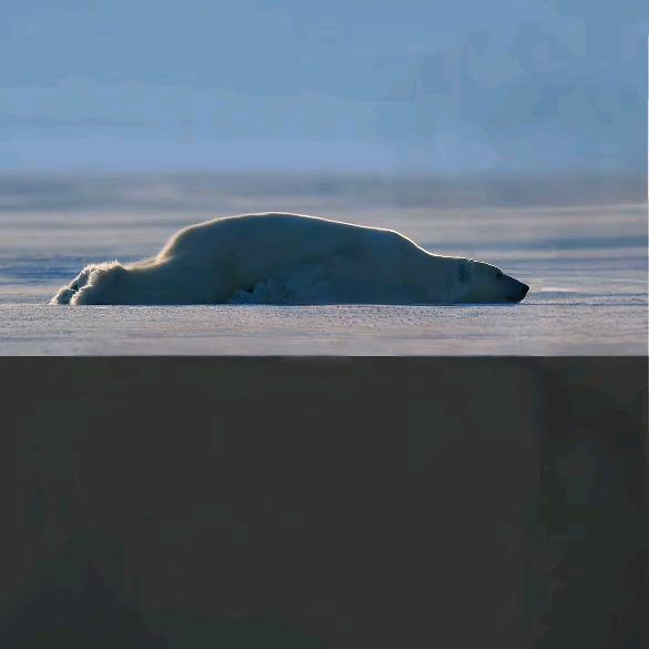 喝西北风从不声张