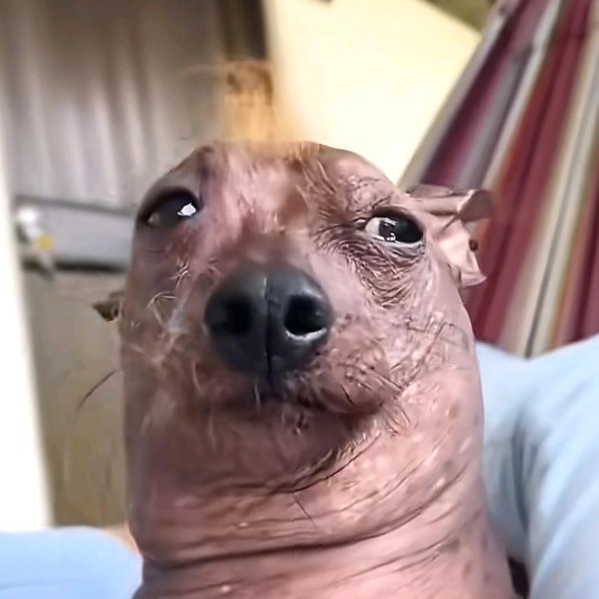 ℳ໌້ᮨ̶鸔儎꧔ꦿ釁*ั͡鶫꧔ꦿ᭄
