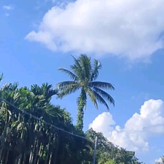 漫漫长路～