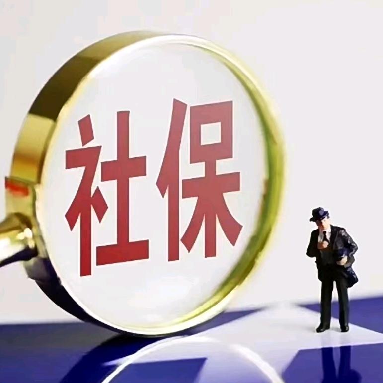 社保规划（收徒）