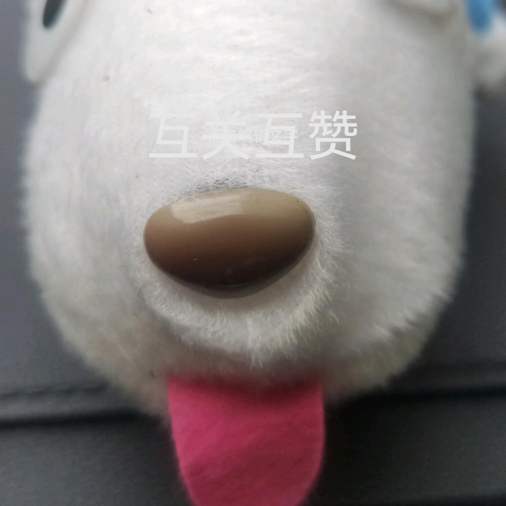 凤轩吖吖