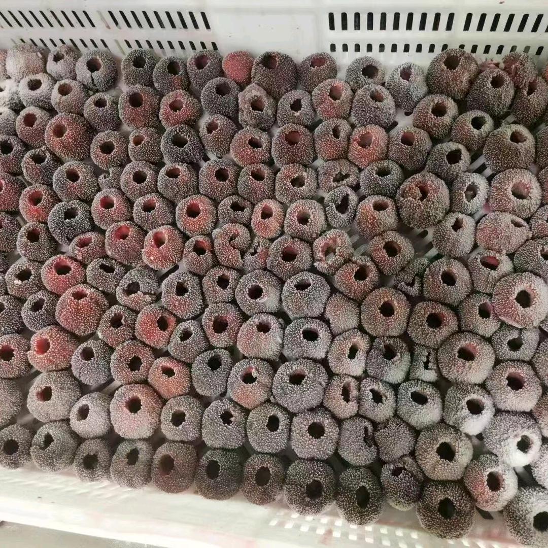 云南晟哲冷库专业杨梅火龙果