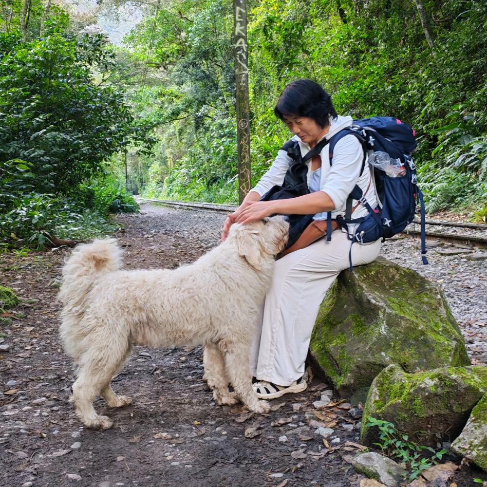 山红姐独自环球旅行