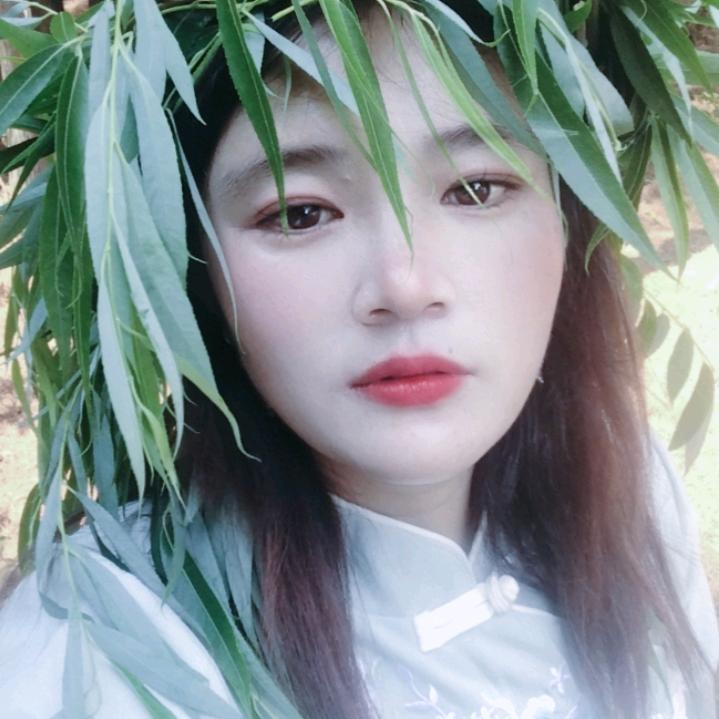 辰亿兰源头茶