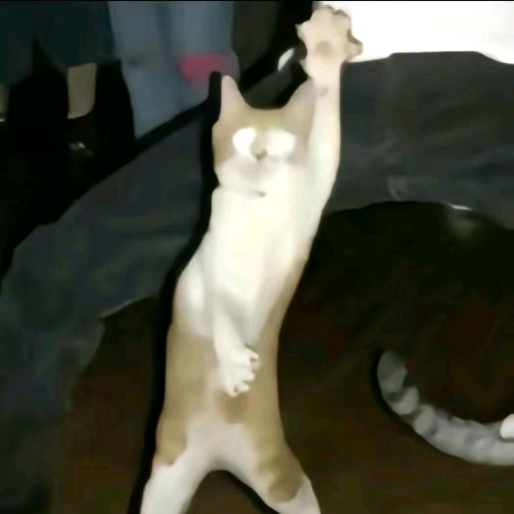 1212121221