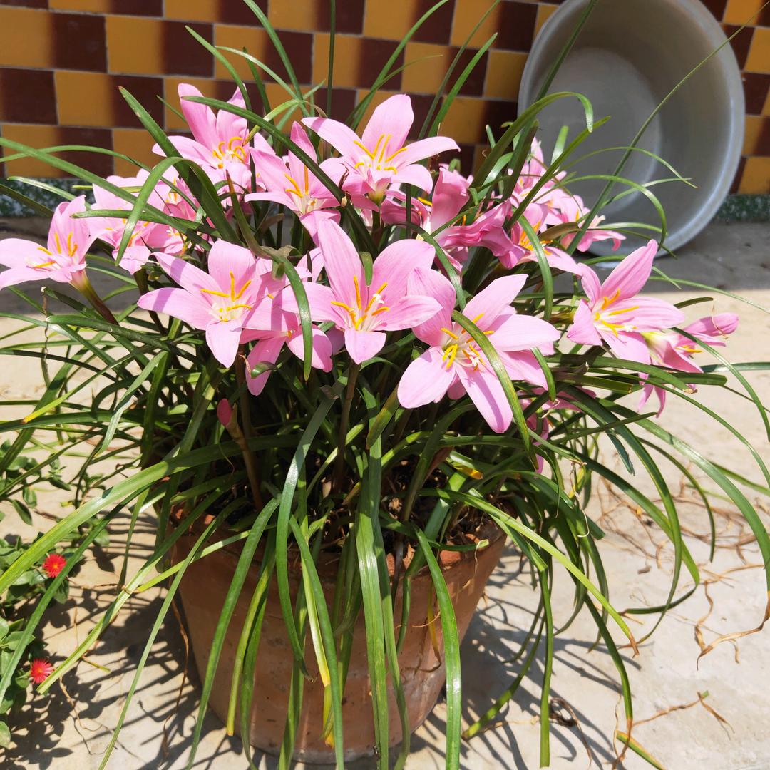 不简单的小幸福