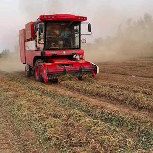 中联收获收花生