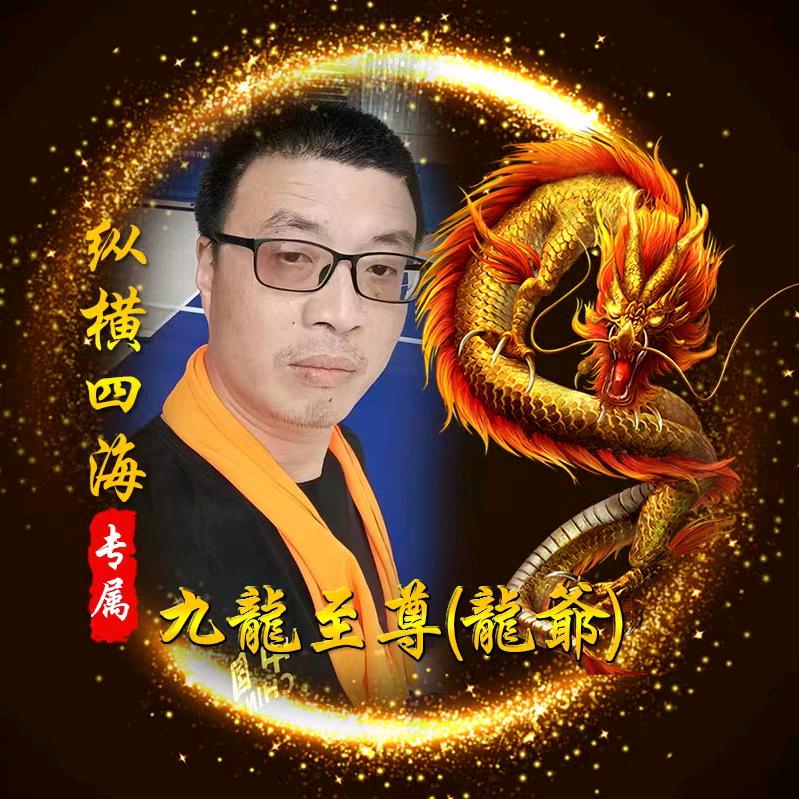 九龍至尊(点赞必回)