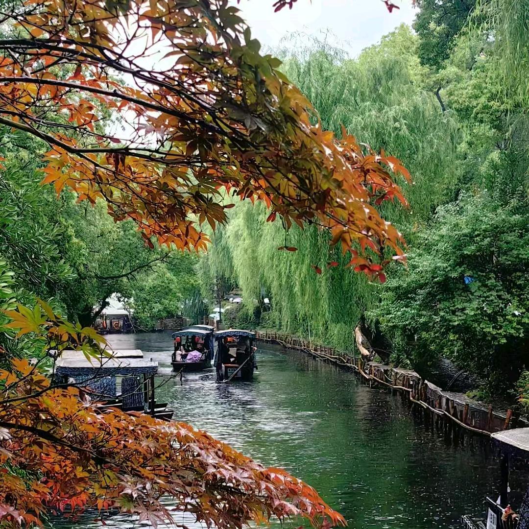 风景