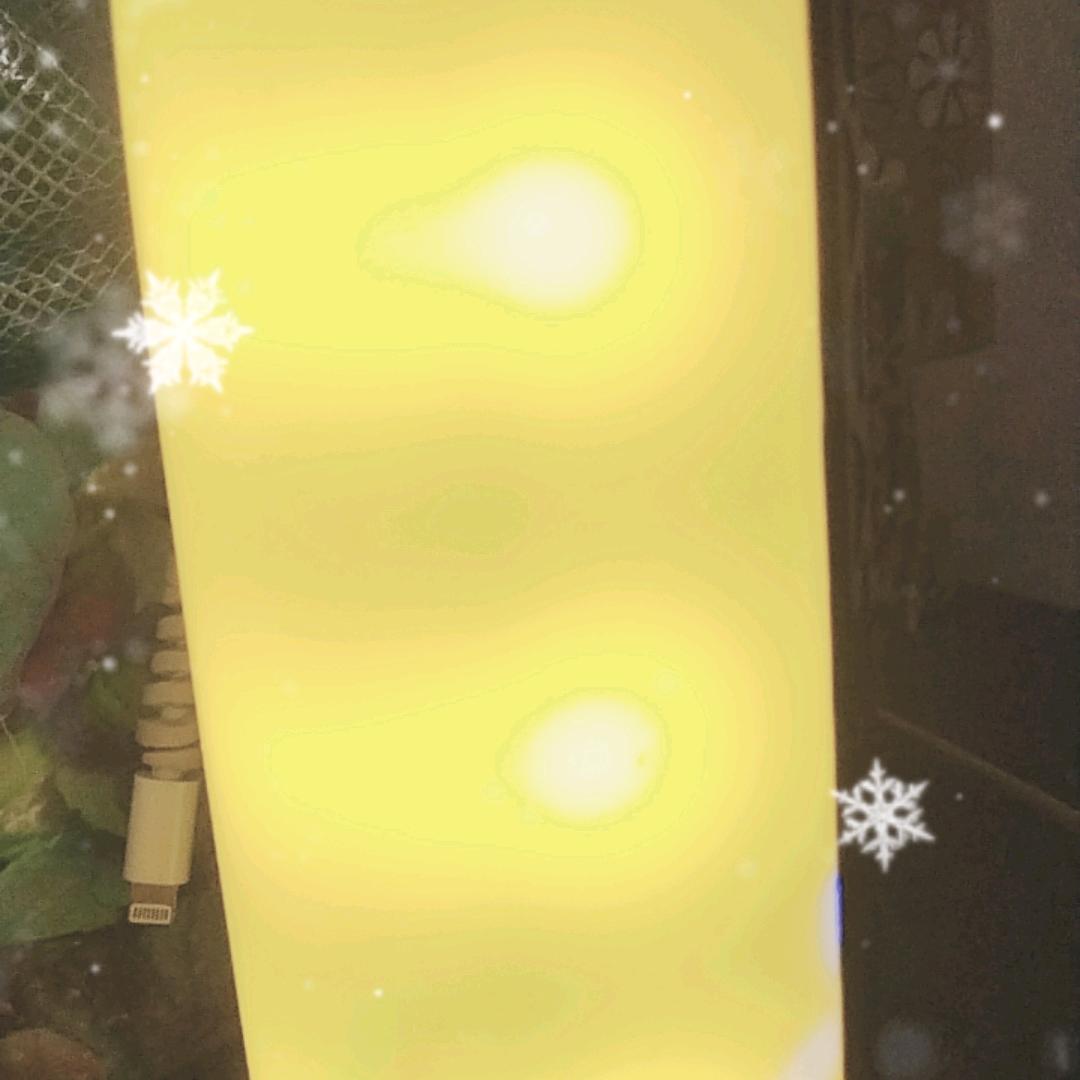 康乐太后