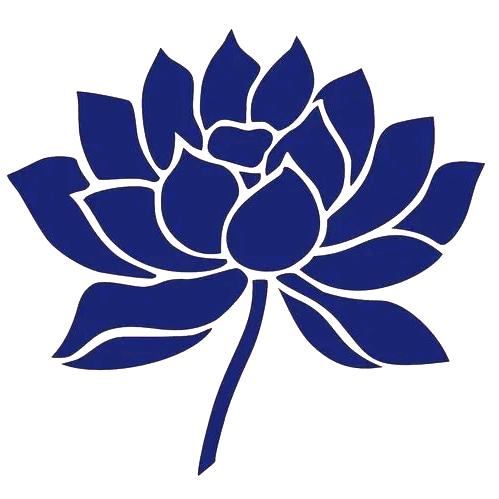 路上的蓝莲花