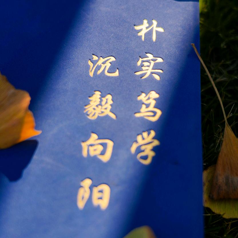 金阳高中龙老师👑