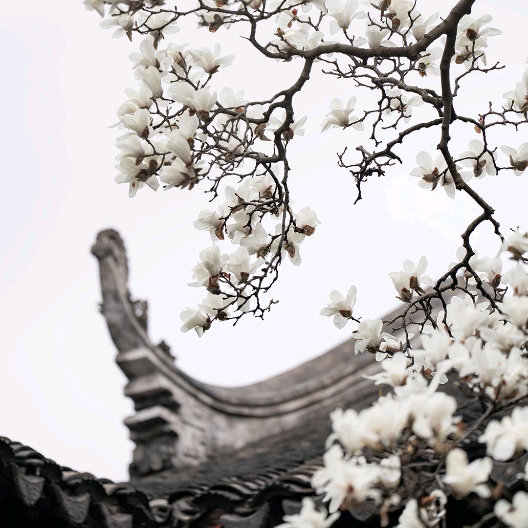 最忆是江南