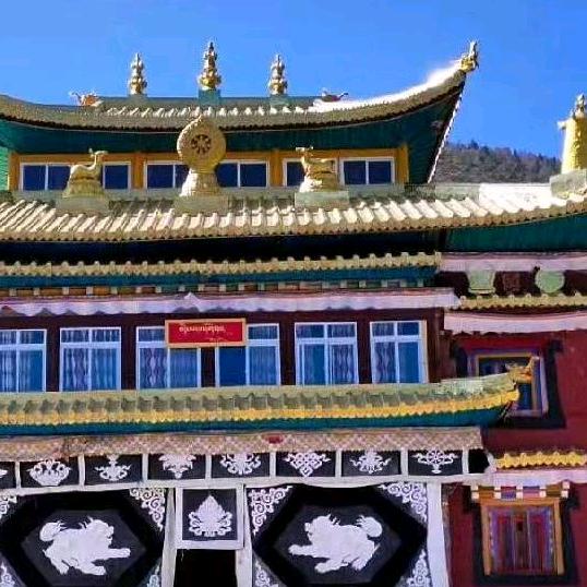 🥬🥬🥬🥬🇨🇳🇨🇳🇨🇳