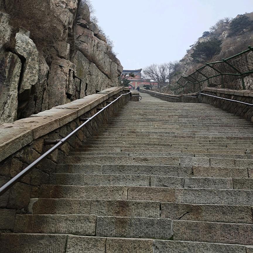 淘汰沉默