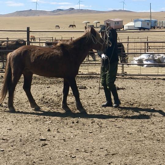 天边草原骑马场