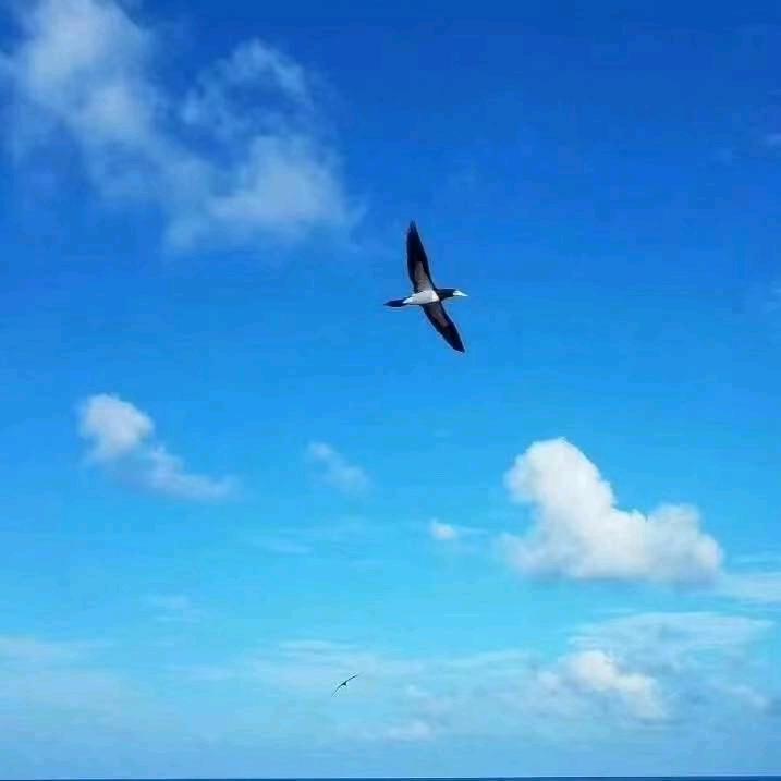 脚踏未来