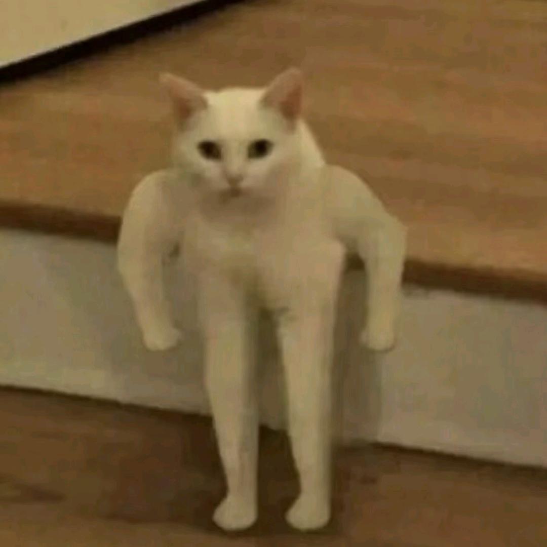 好哥哥