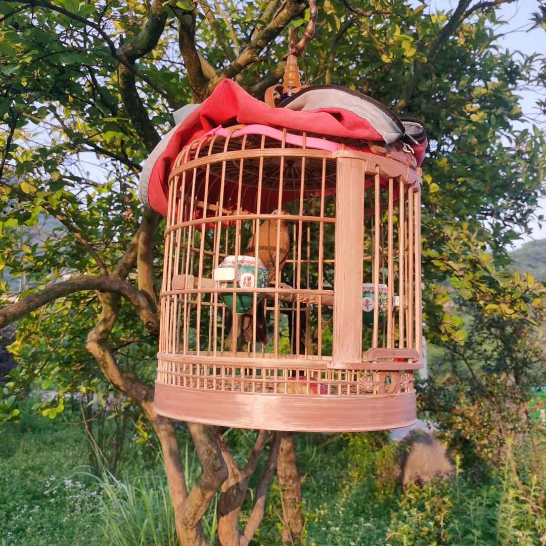 坡头世界服装店