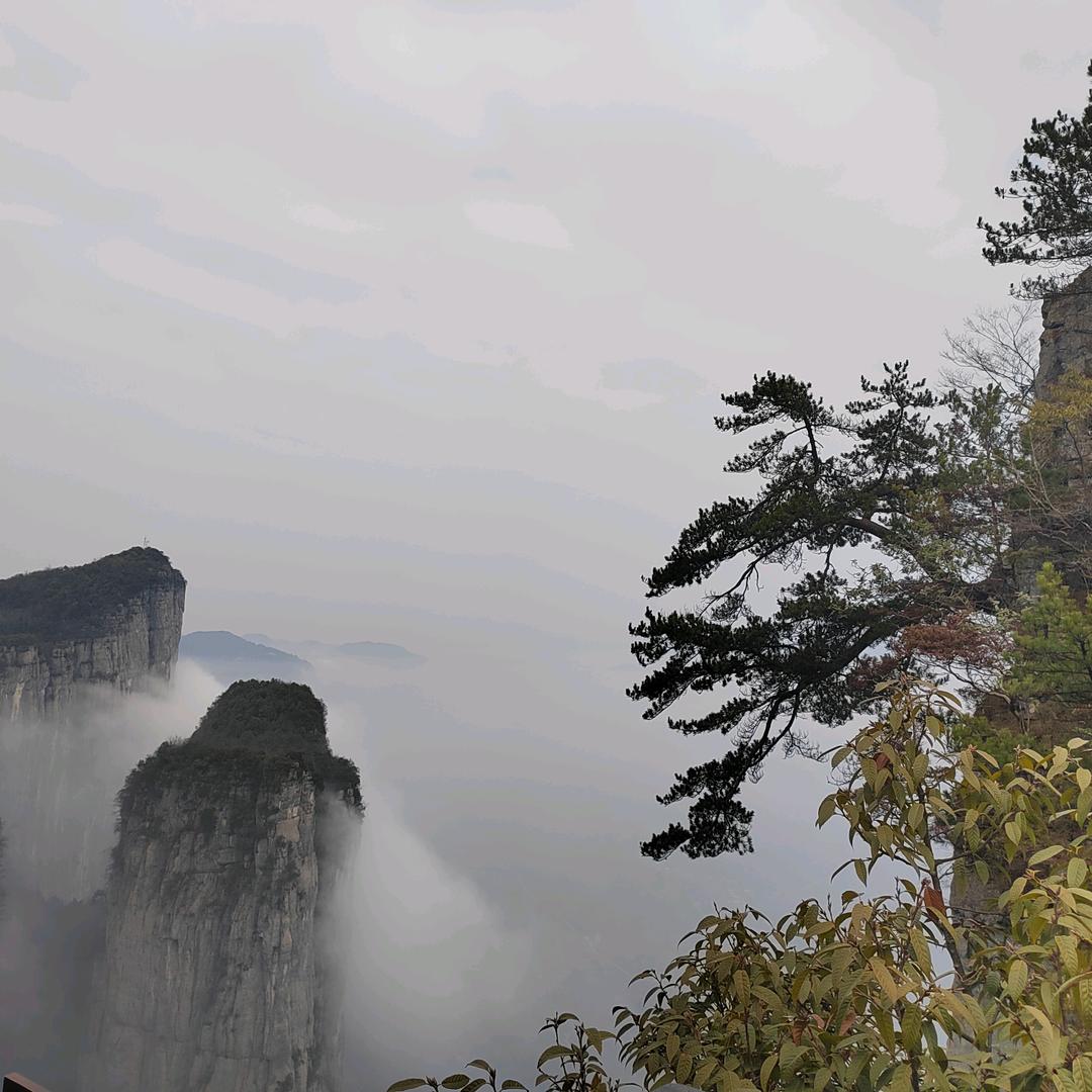 ༺💰如♧亿ঞ᭄