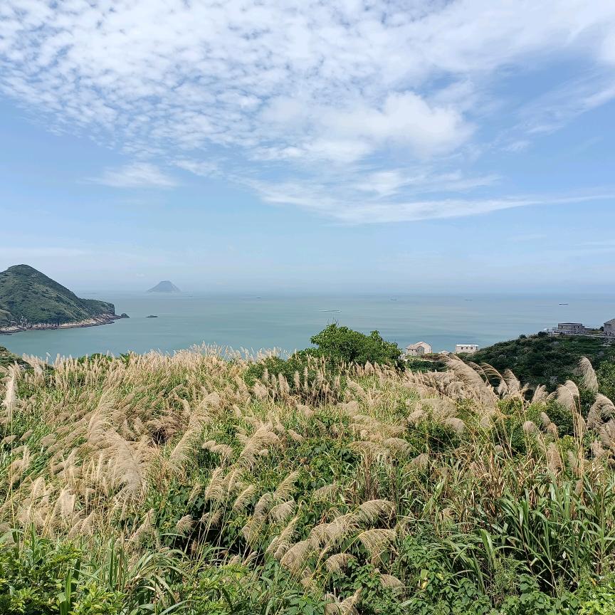 沧海一笑