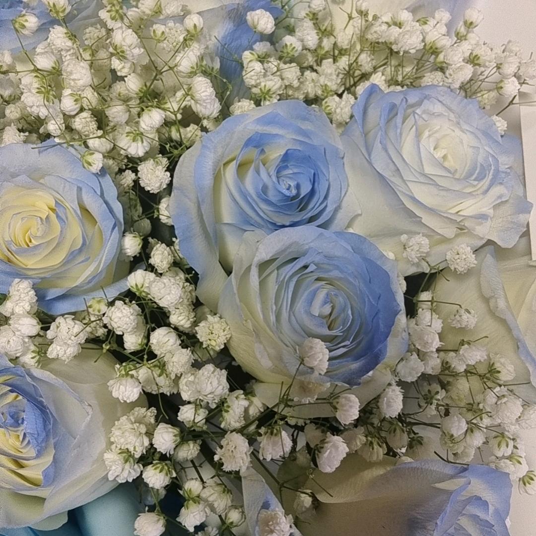 Ninety（拒绝私聊）
