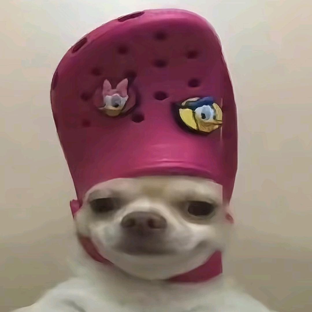 啾咪