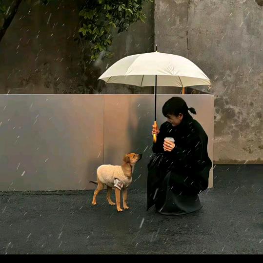 想不想休息