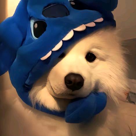 “范”里有个“昱”