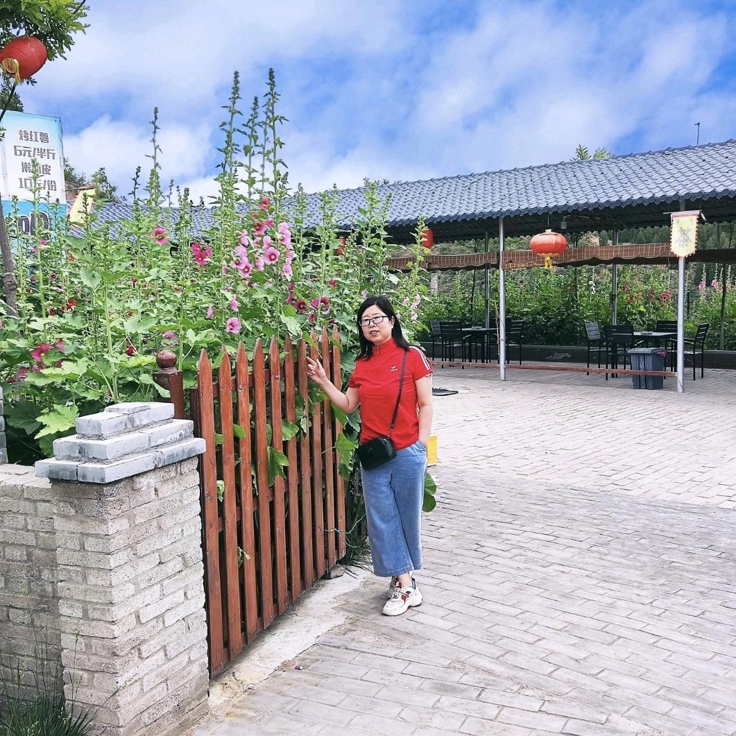英子好物