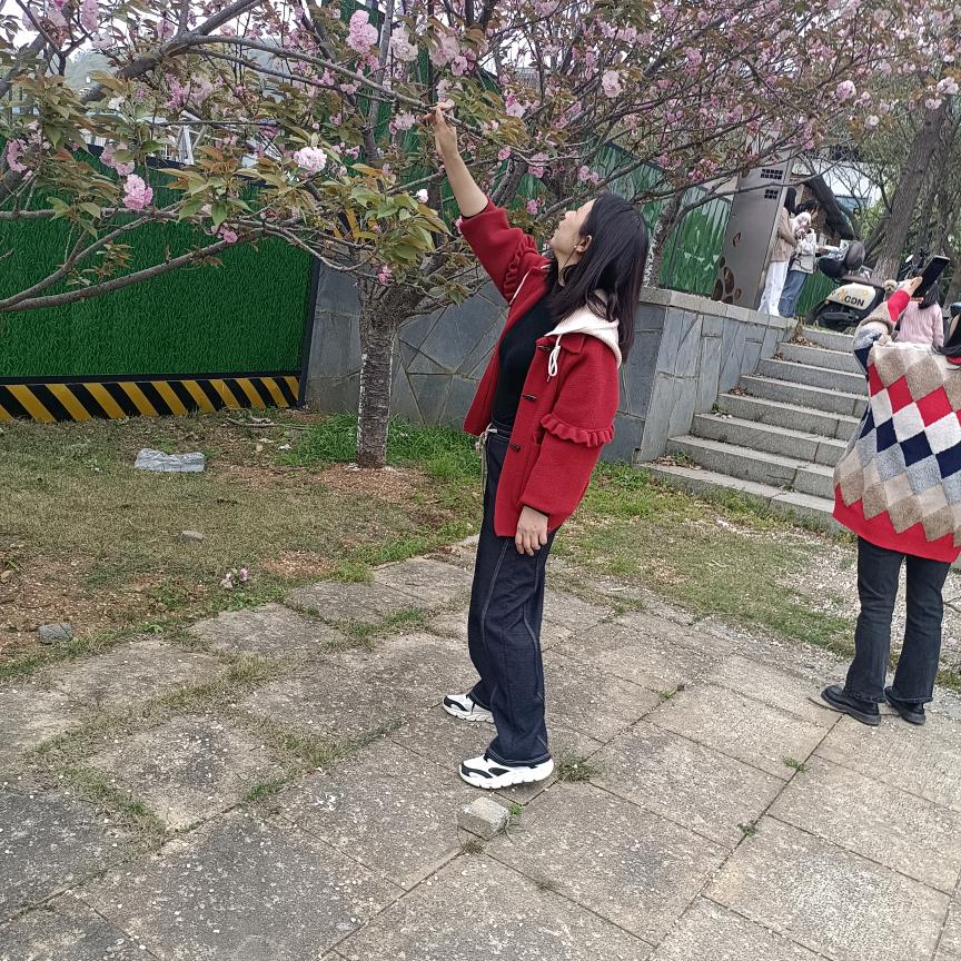 没李不行