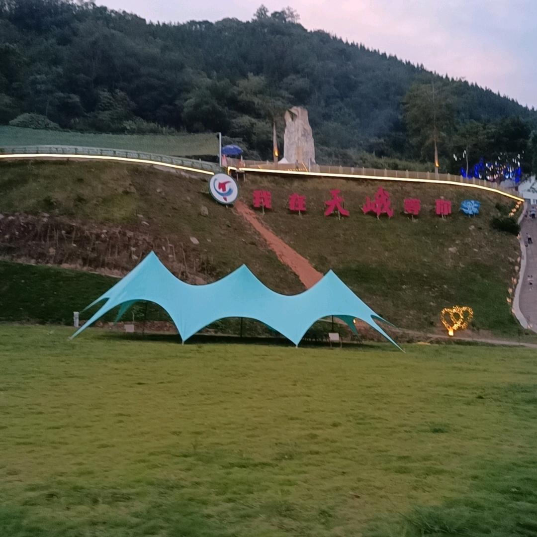 杨拒绝连费
