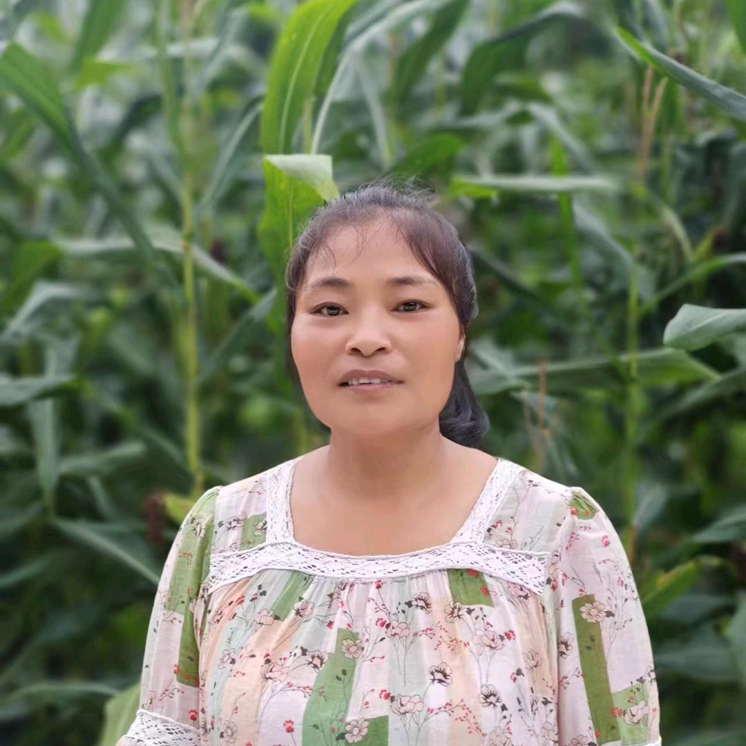 枫姐(每天晚上8:30分直播)