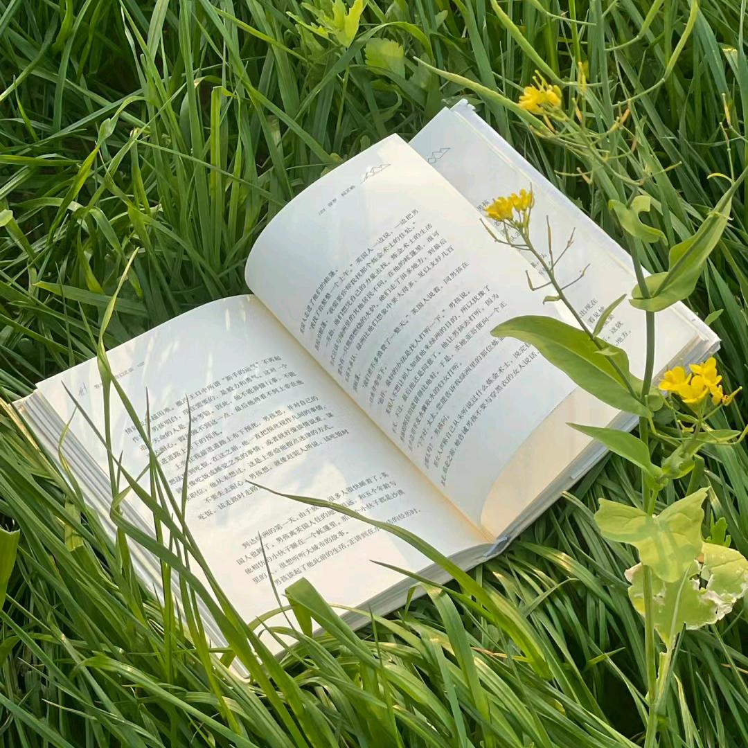 萱智藏文书籍教辅资料