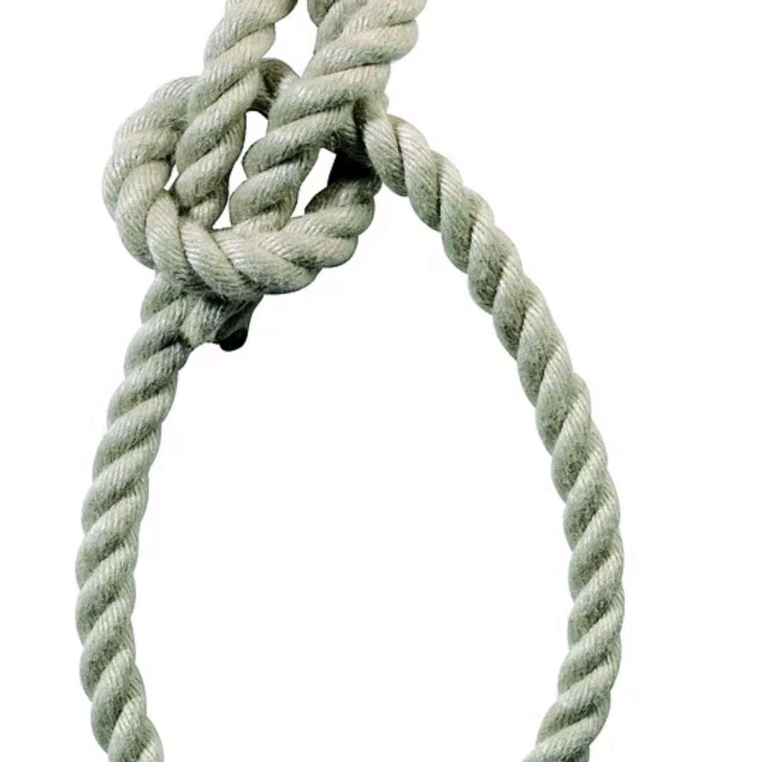 天凉了给你织了条围脖