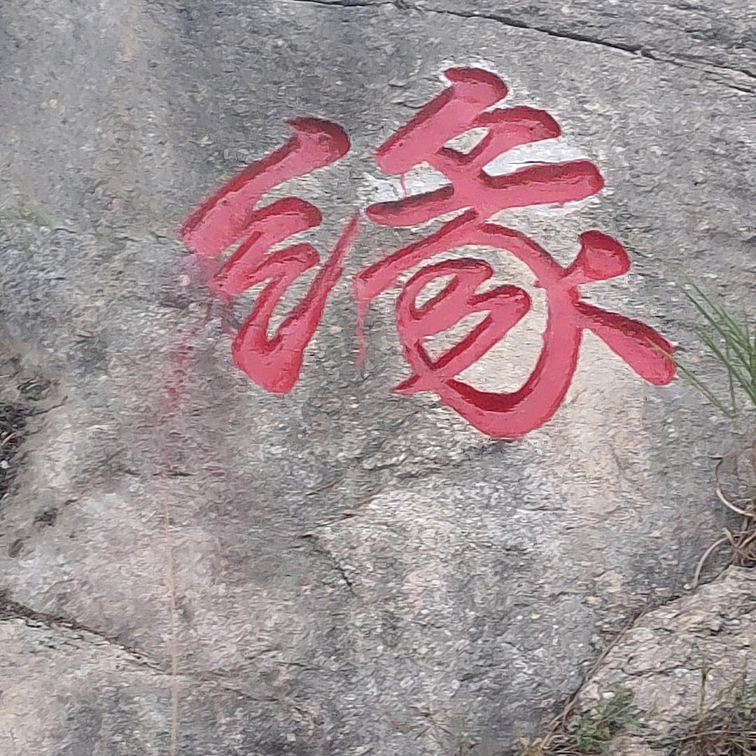 啊强哥新疆马兰巴郎子