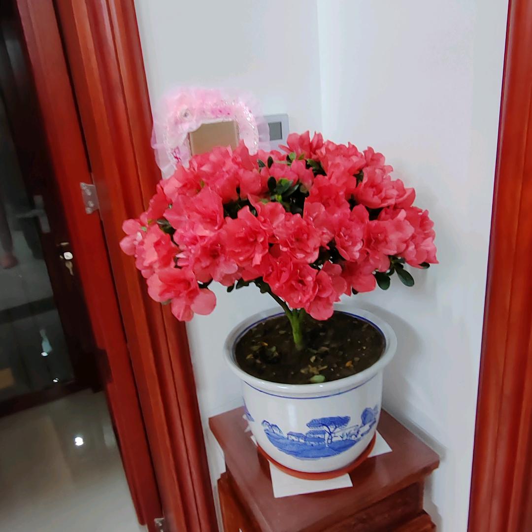 王金明